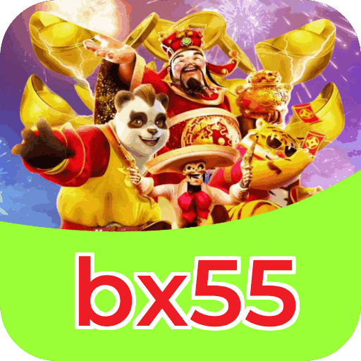Métodos de pagamento aceitos na bx55
